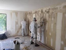 Best Black Mold Removal  in Douglass, KS